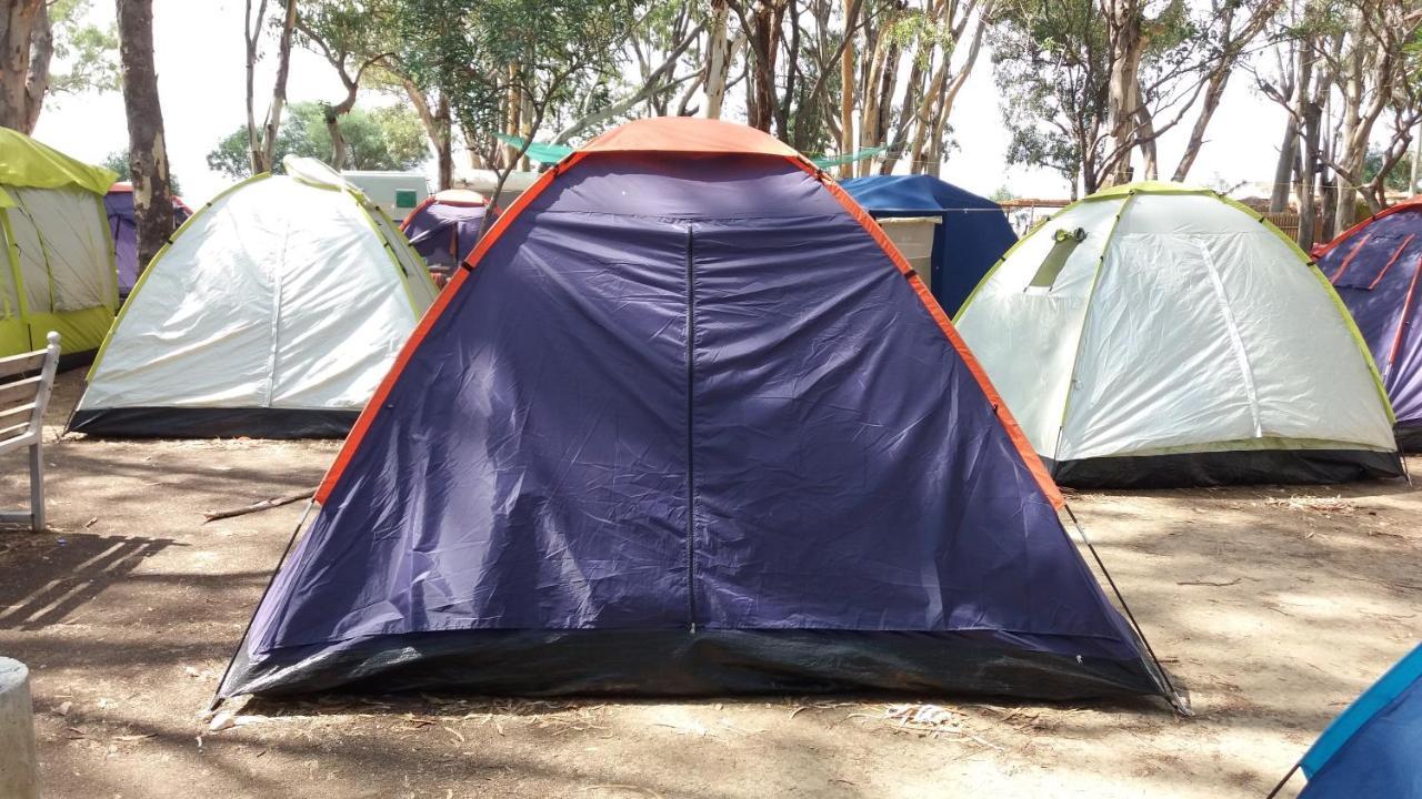 Campsite Camping Drepanos