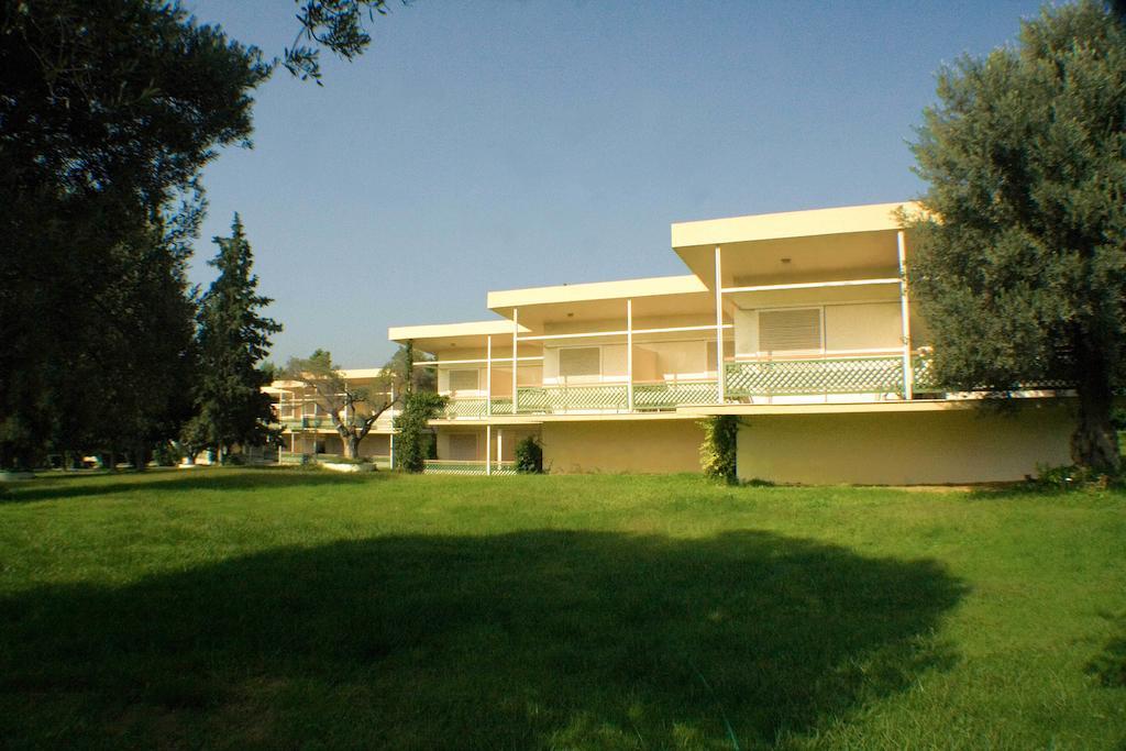 Palmariva Eretria (Evia)