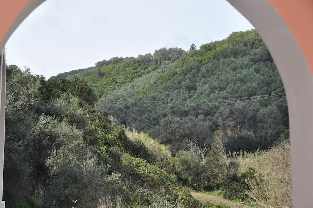 Apartment Eleftheria *