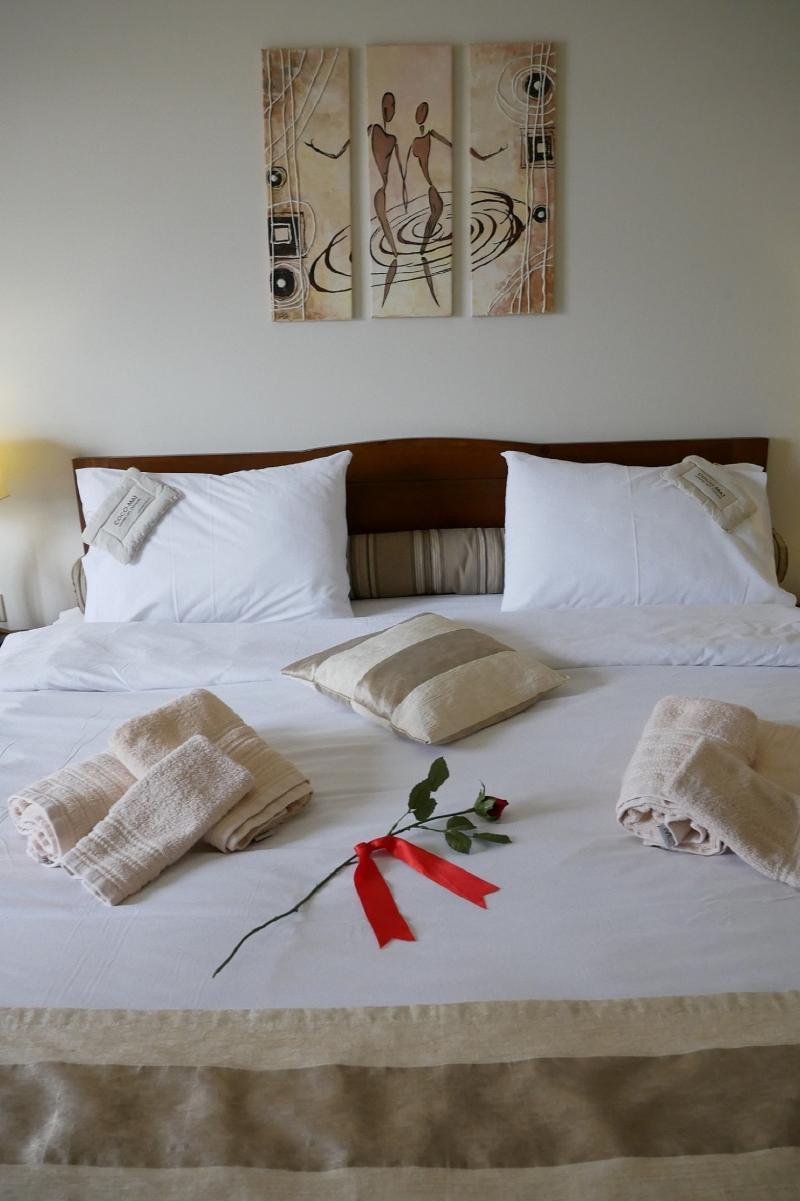 Hotel Rodovoli Konitsa