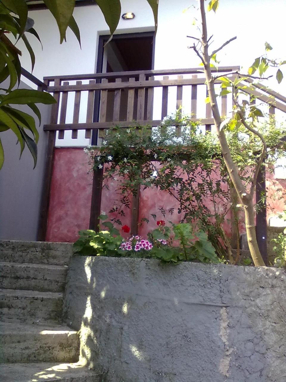 Pelion Orama Agios Ioannis (Thessaly)