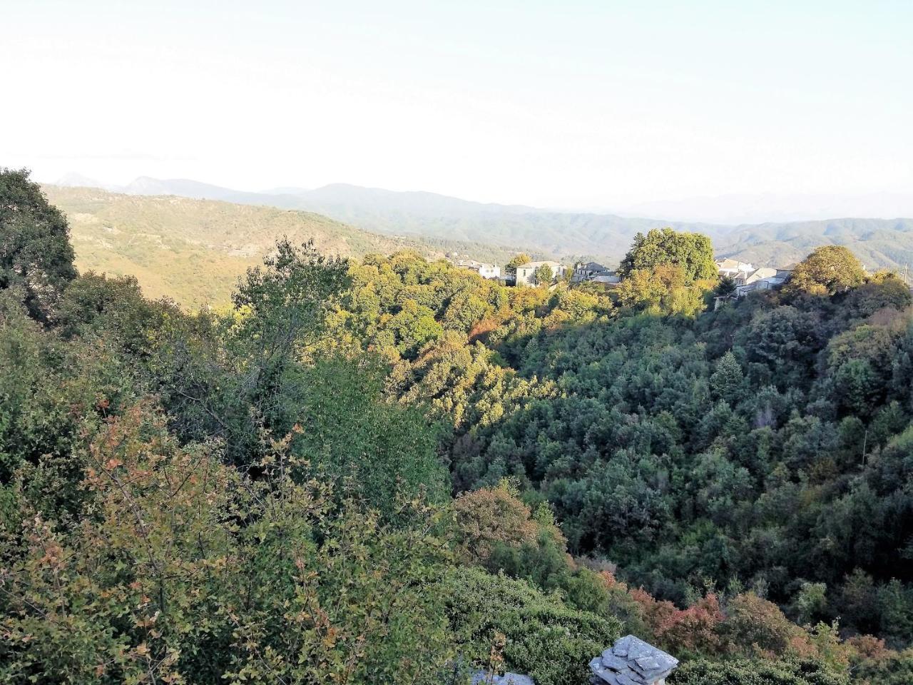 Archontiko Evridikis Guest house Vitsa