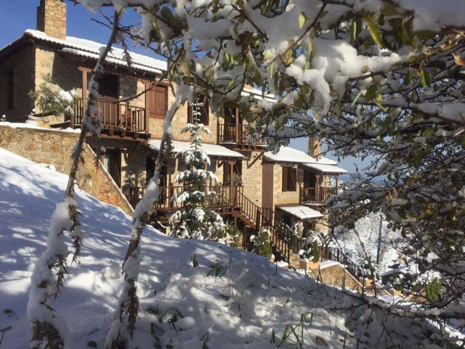 Guest house Nymfes Synikia Mesi Trikalon