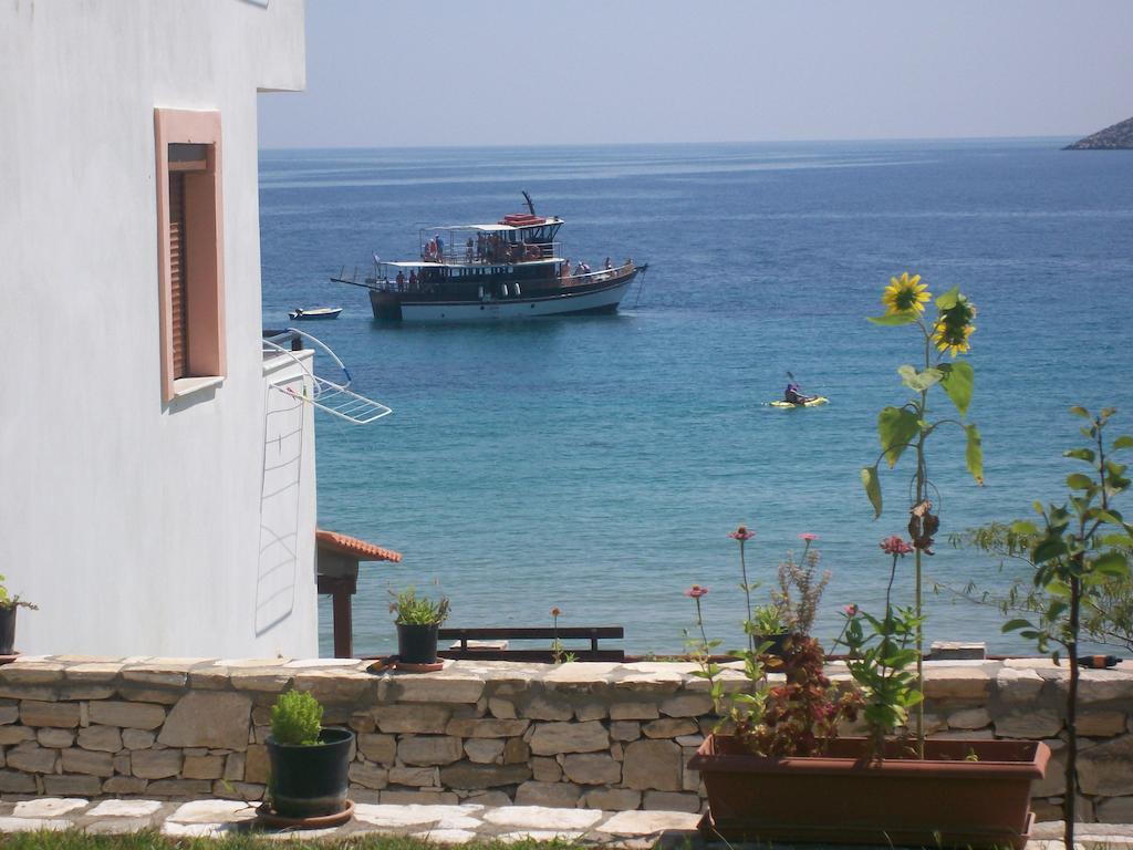Dolphins House Apartment *