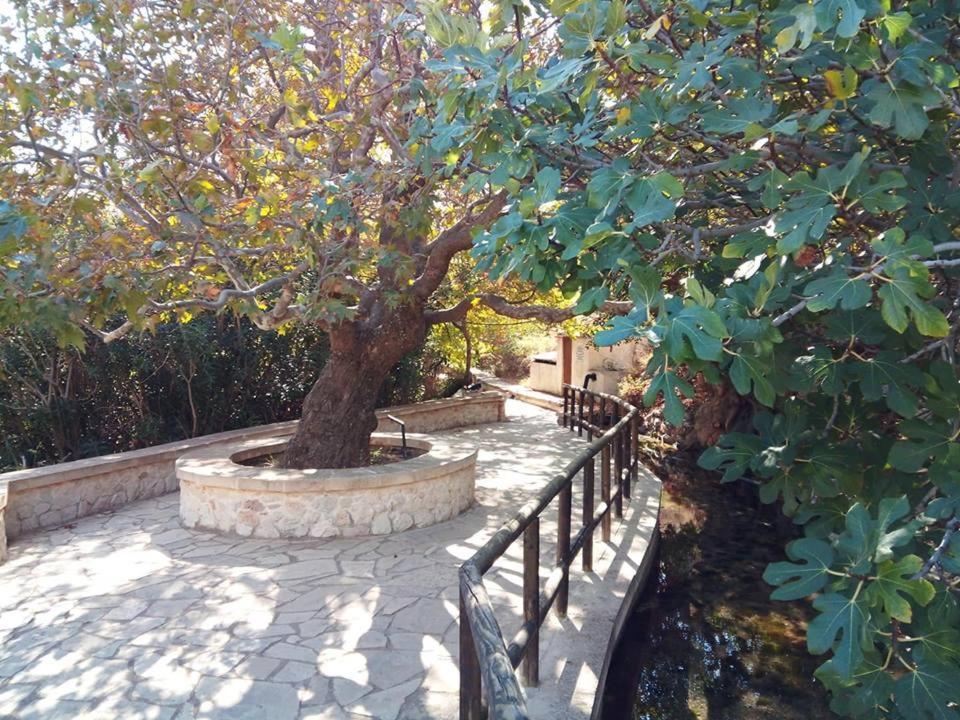 Apartment Dimitra *