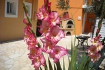 Apartment Erietta *