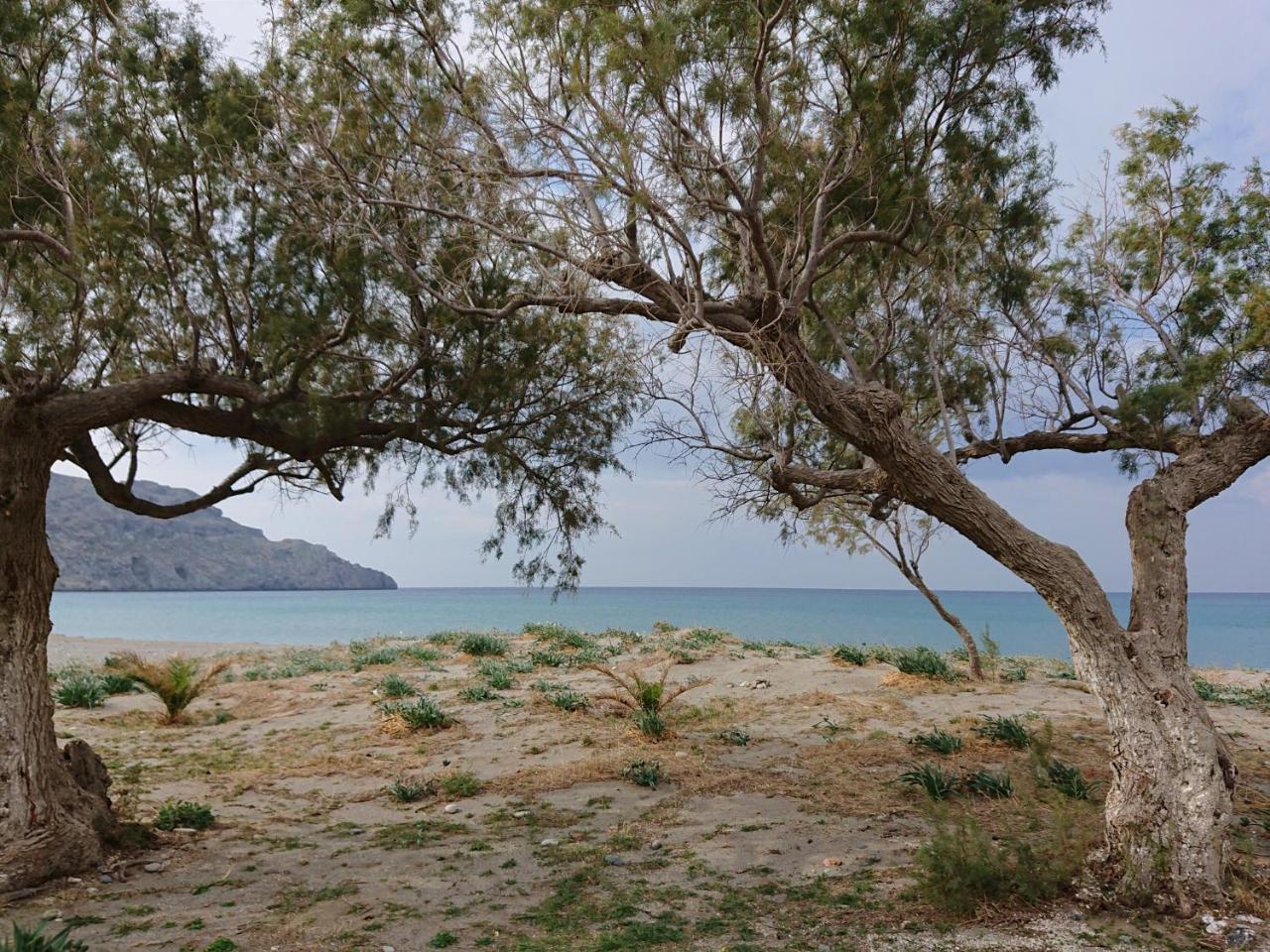 Emilia Aparthotel Plakias