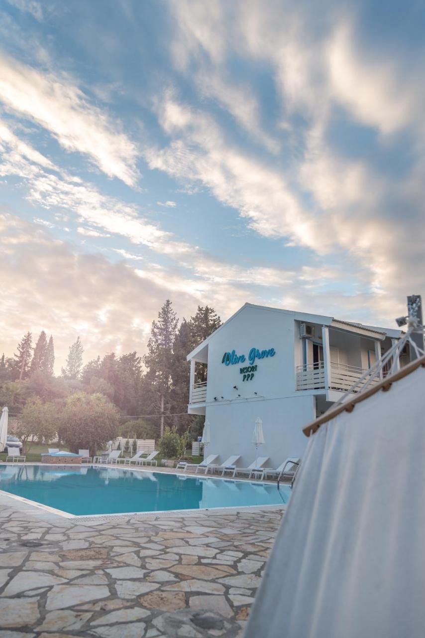Olive Grove Apartment *