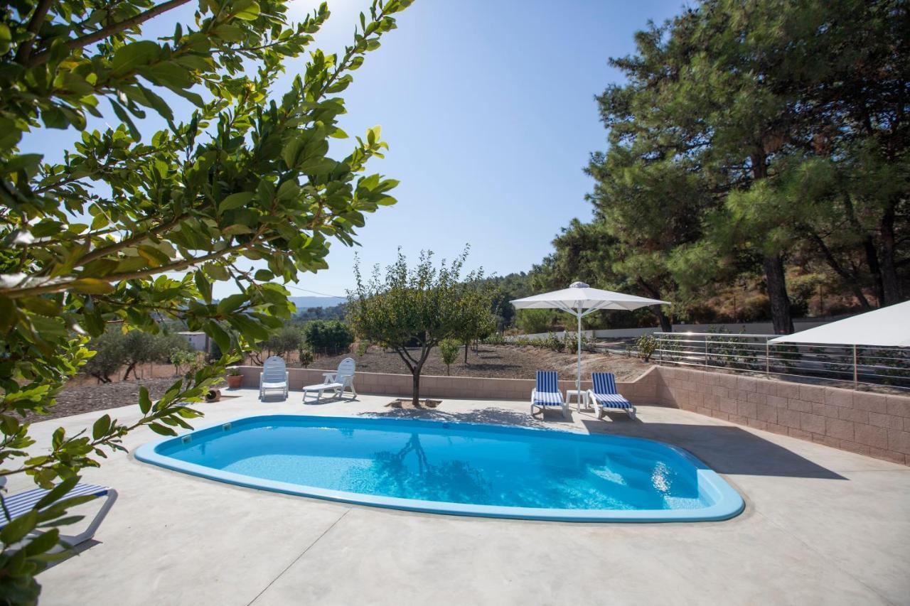 The Olive Grove Private Pool With Star Links Wifi