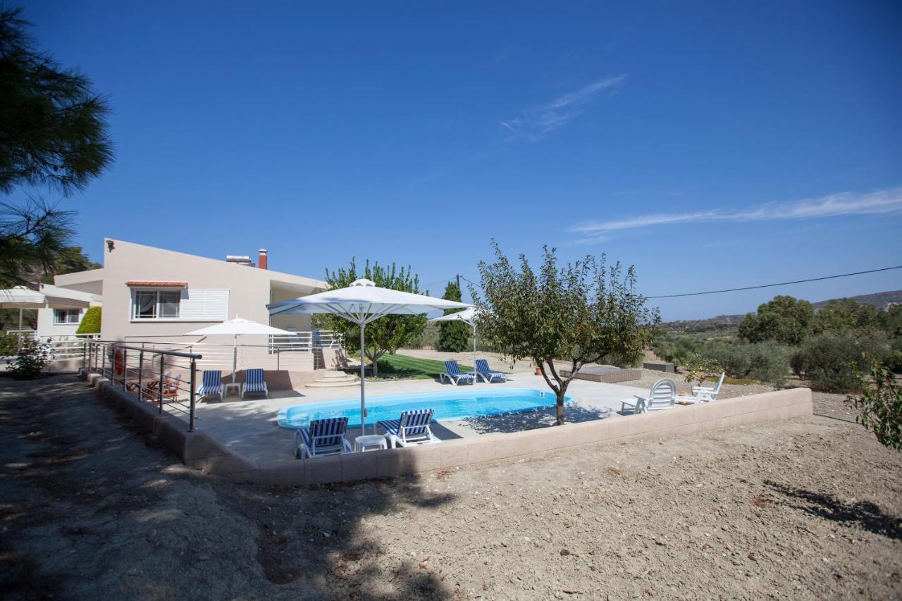 The Olive Grove Private Pool With Star Links Wifi Villa
