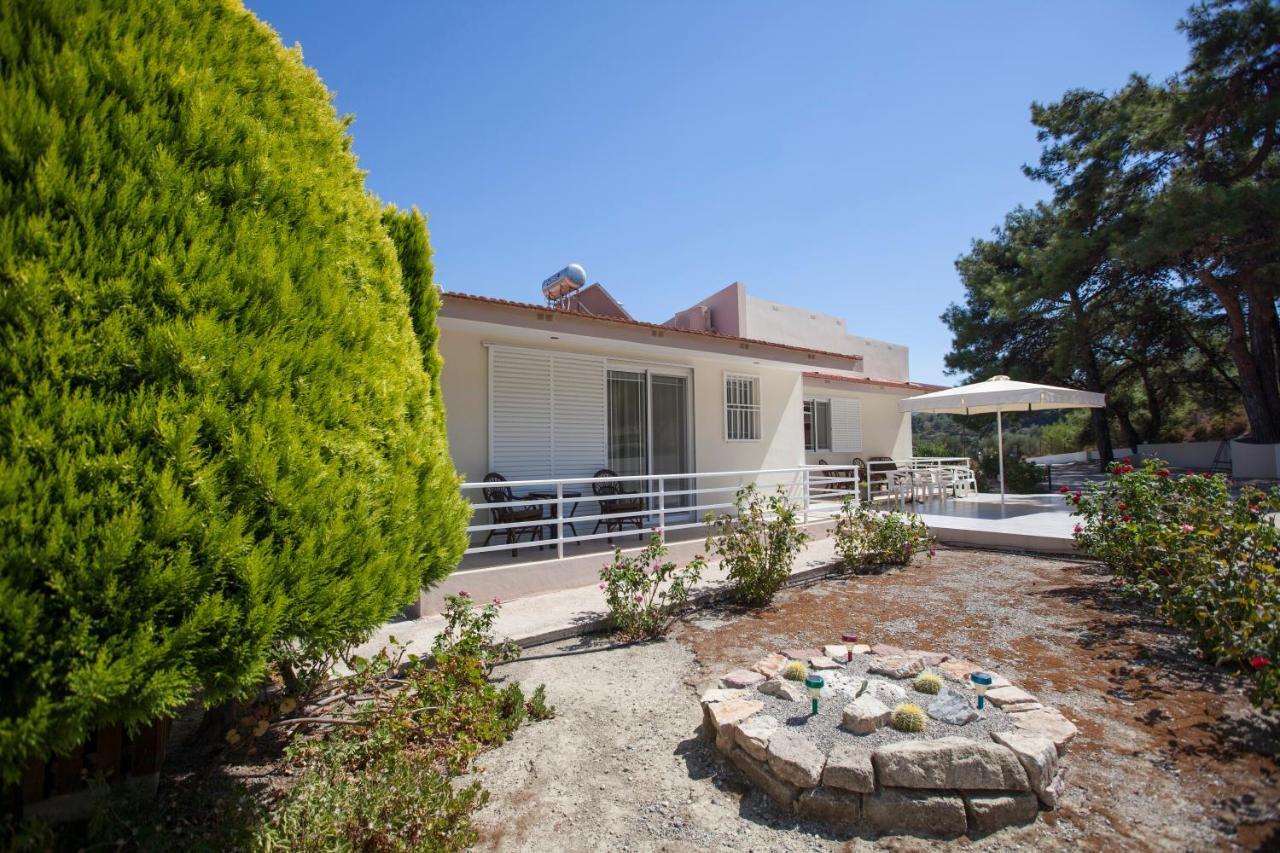 Villa The Olive Grove Private Pool With Star Links Wifi *