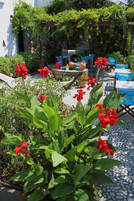 Eleni Parikia (Paros)