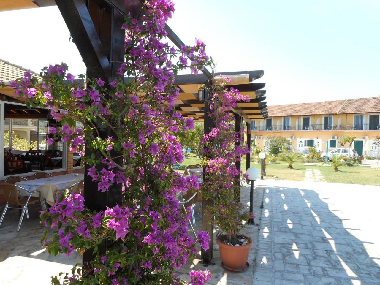 Hotel Egrypos Mpoukaris