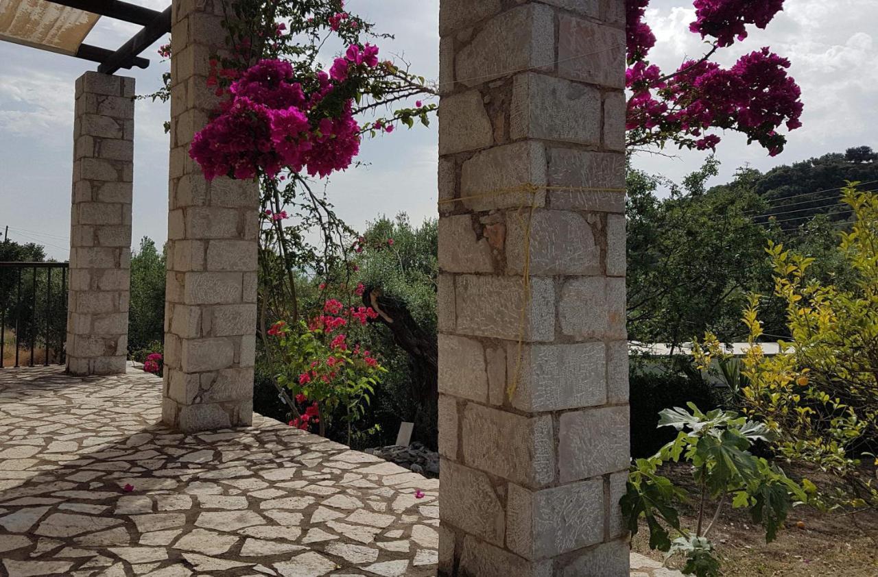 Villa Stone House *