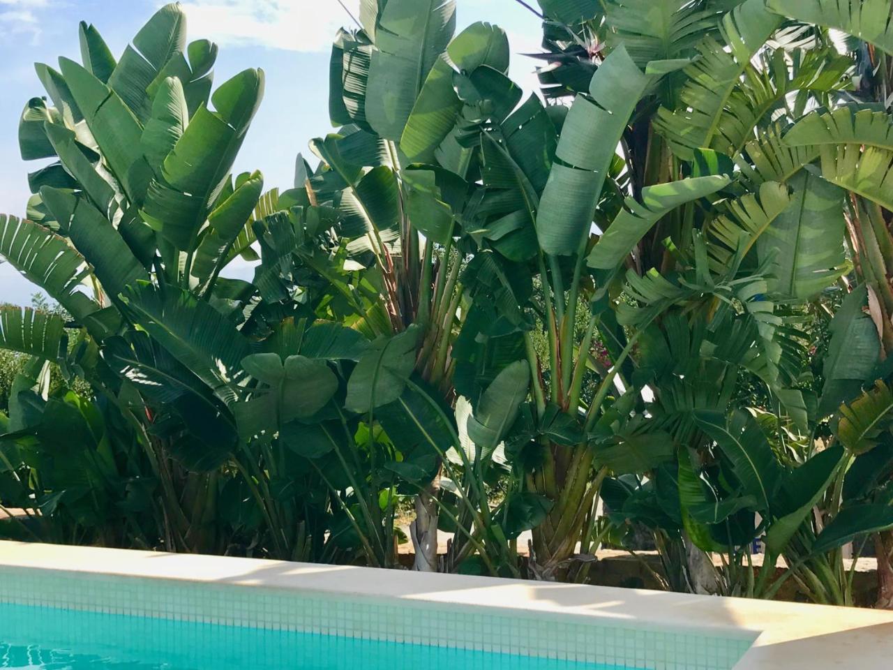 Creta Blue Luxury Collection (adults Only) 4*