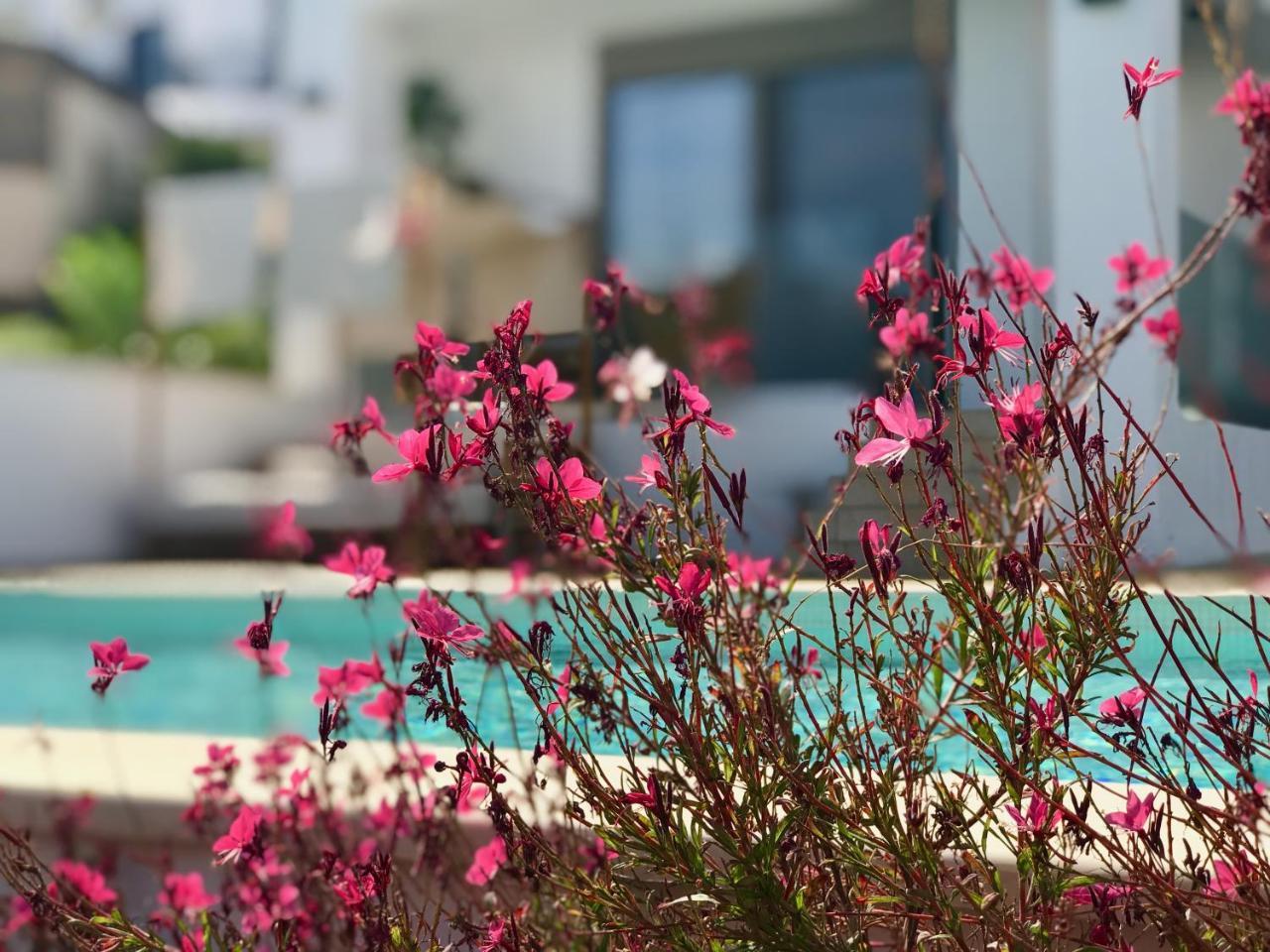 Creta Blue Luxury Collection (adults Only) 4*