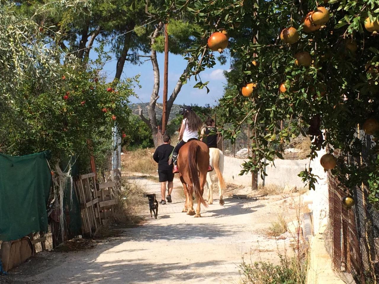Hotel Perivoli Country & Retreat Nafplio