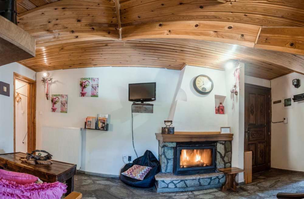 Guest house Theodorou Elati (Trikala)