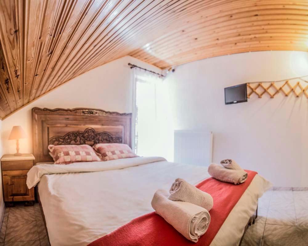 Guest house Theodorou Elati (Trikala)