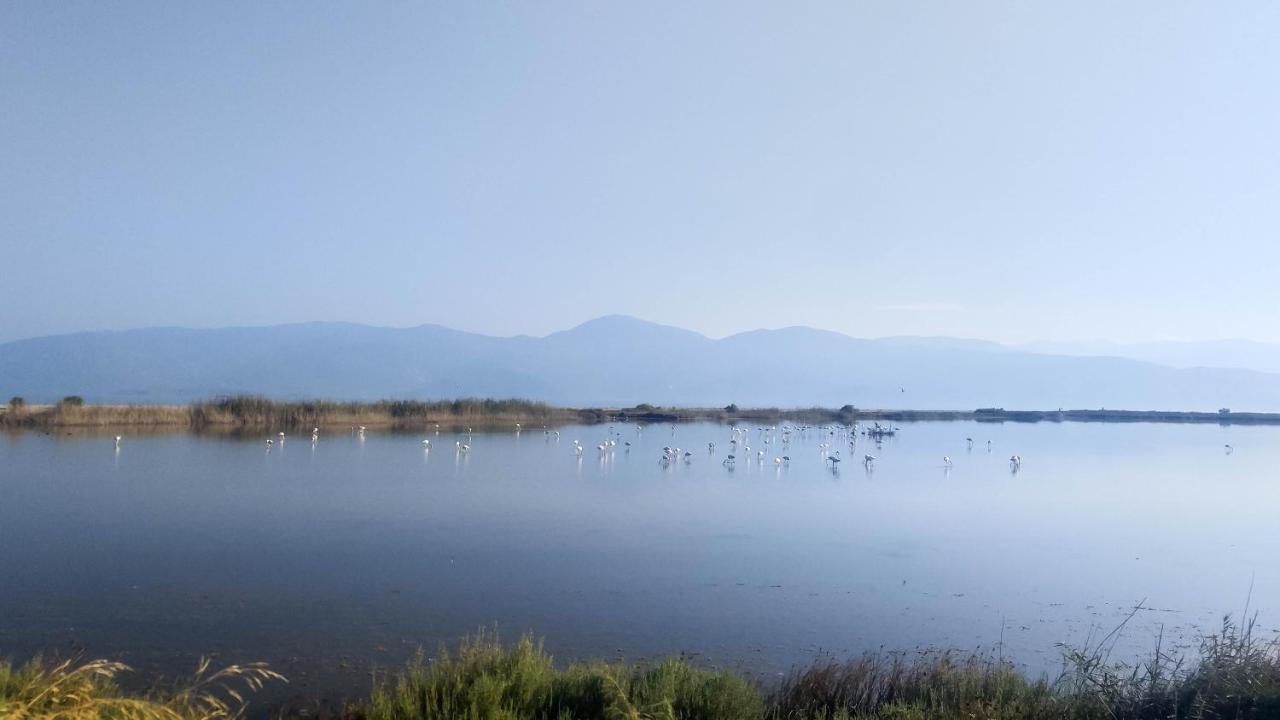 Traditional Luxury Armonia * Aigio
