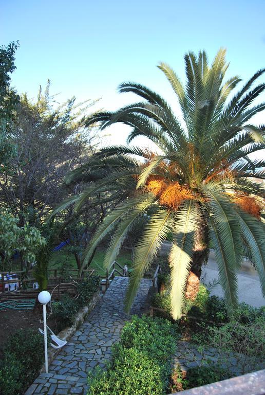 Orama Guest house 2*