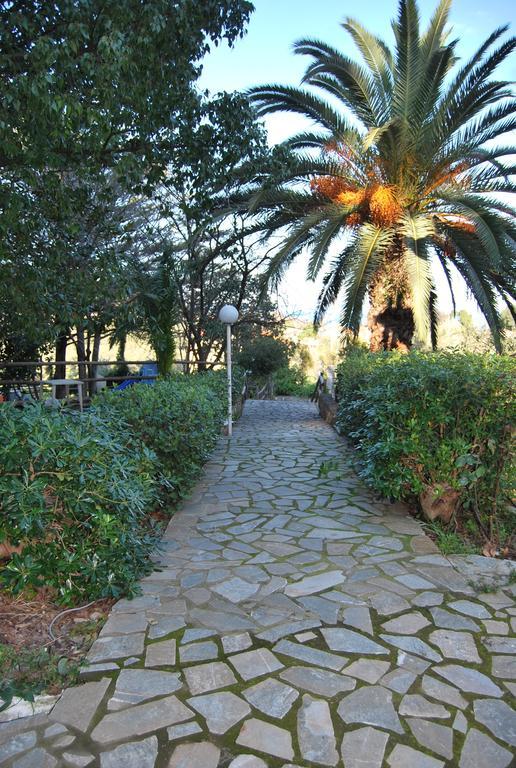 Orama Guest house Vasilika (Evia)