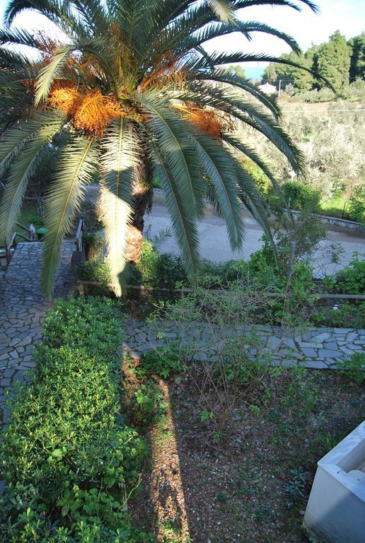 Orama Guest house