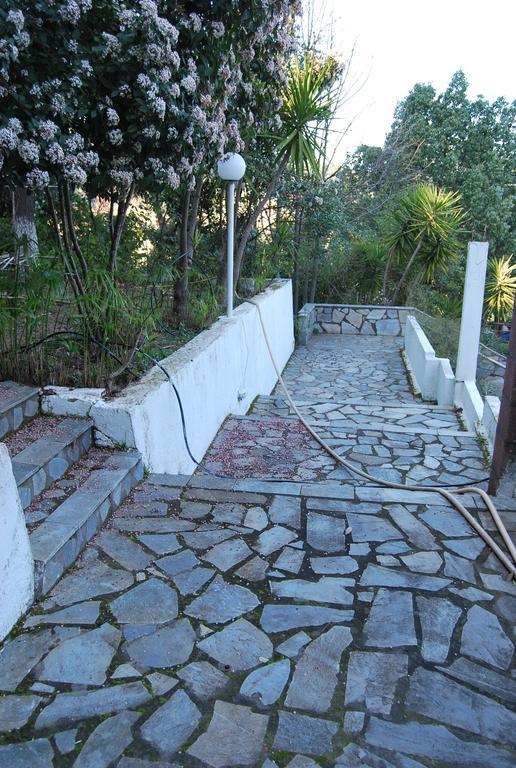 Orama Guest house 2*