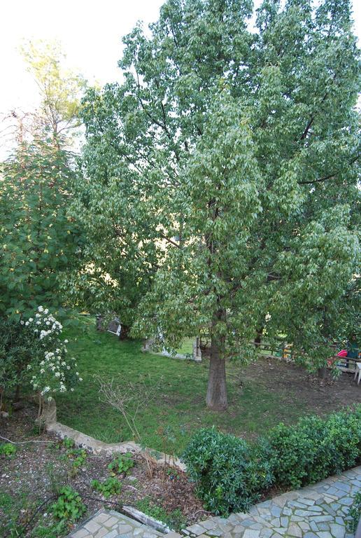 Orama 2* Vasilika (Evia)