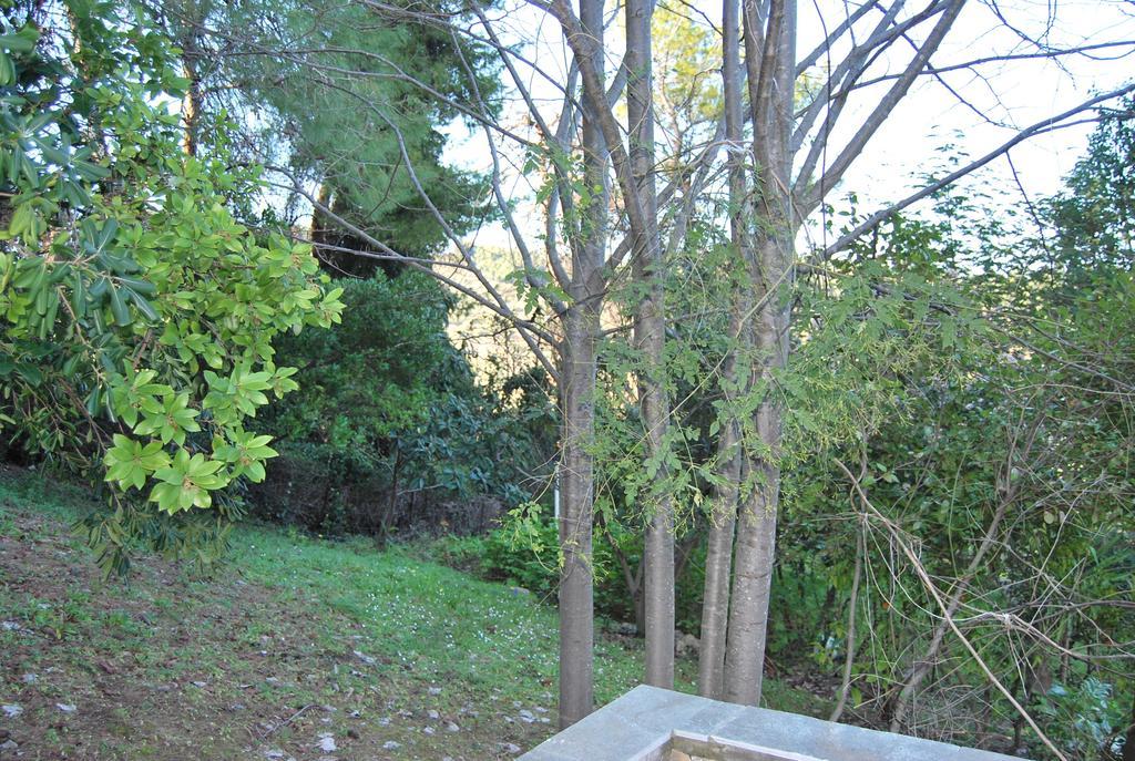 Guest house Orama
