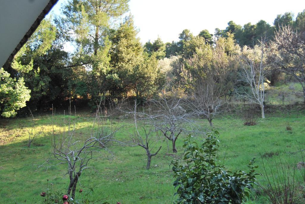 Guest house Orama Vasilika (Evia)