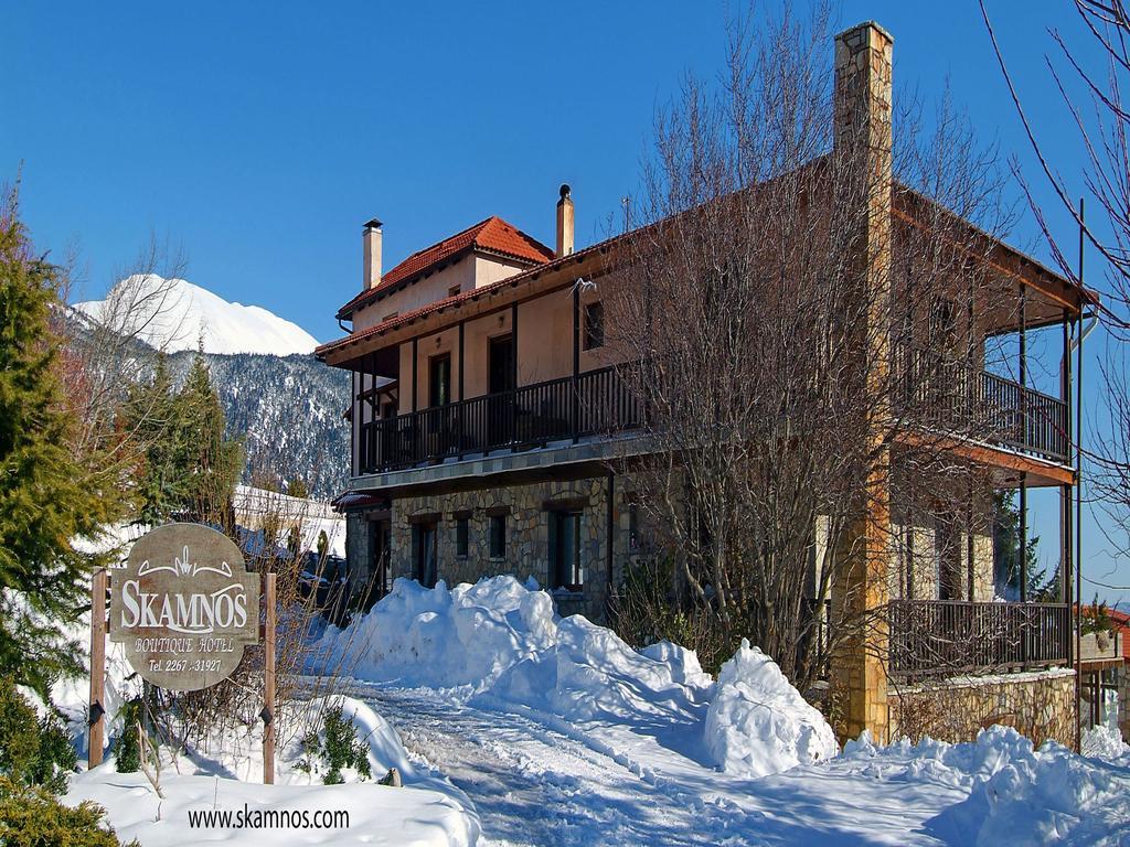 Hotel Boutique Skamnos Arachova
