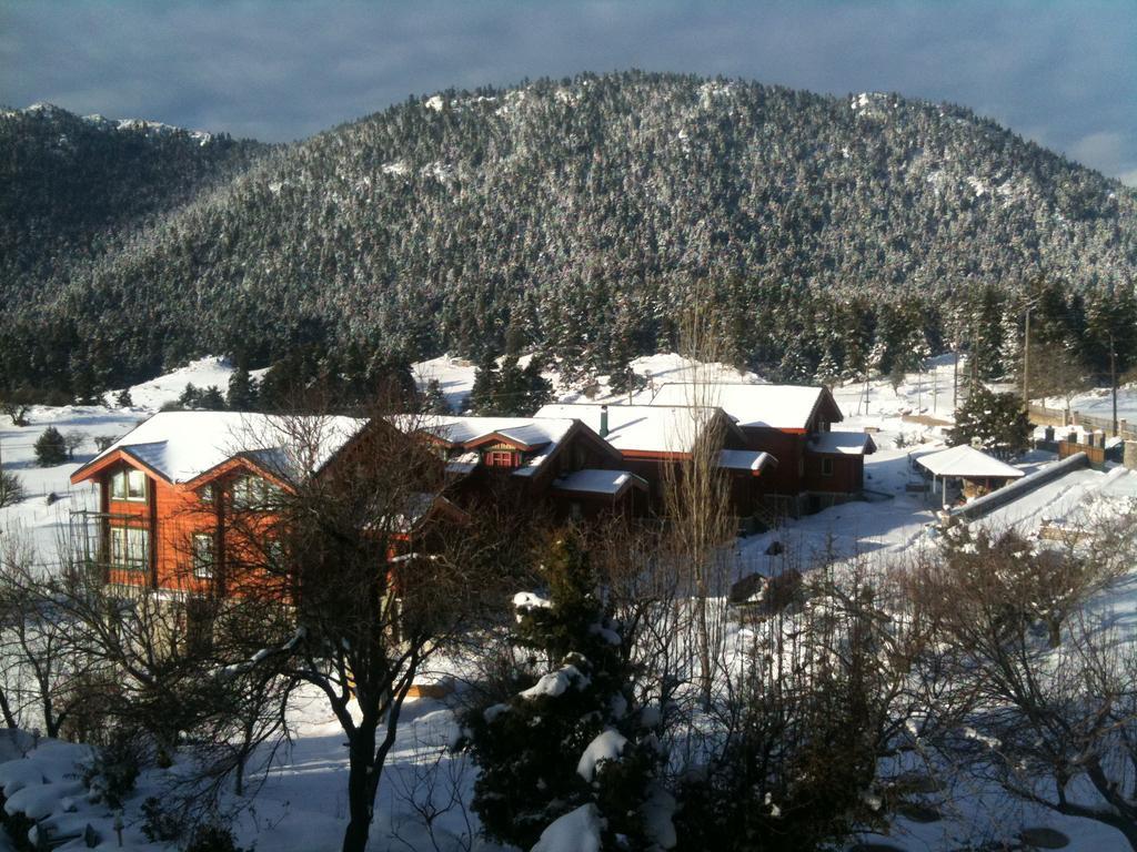 Hotel Boutique Skamnos
