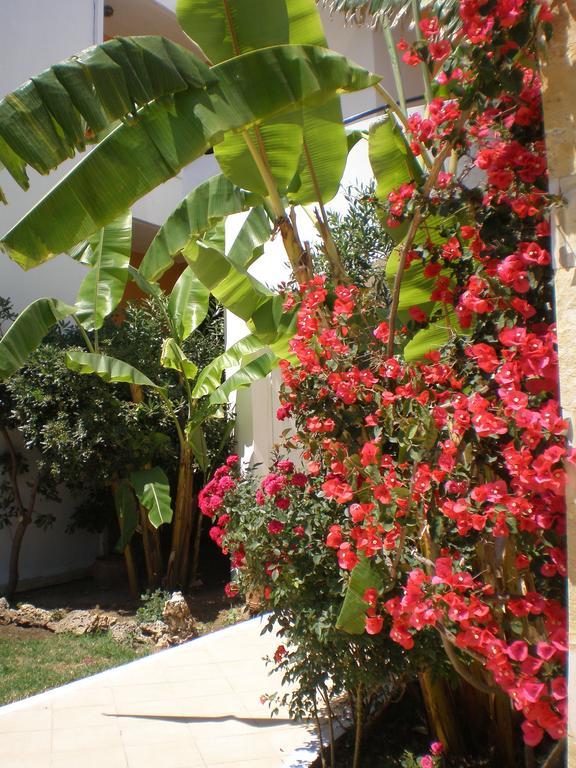 Aparthotel Matzi