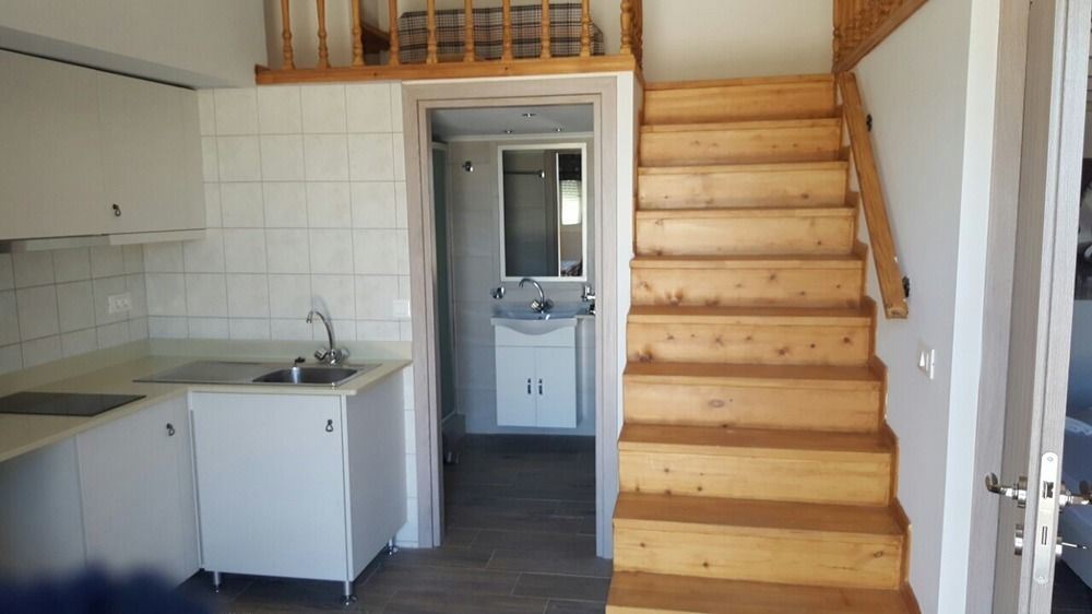 Apartment Vlycha &