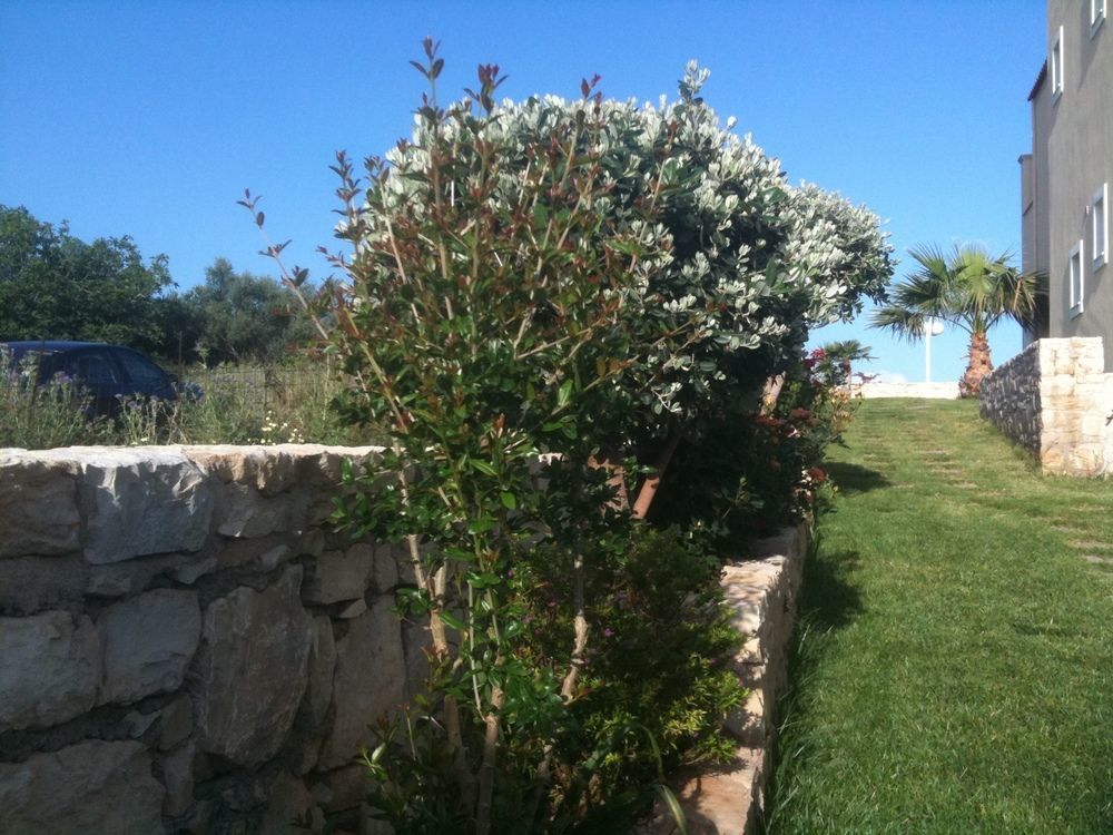 Arkadi Hills Estate Apartment *