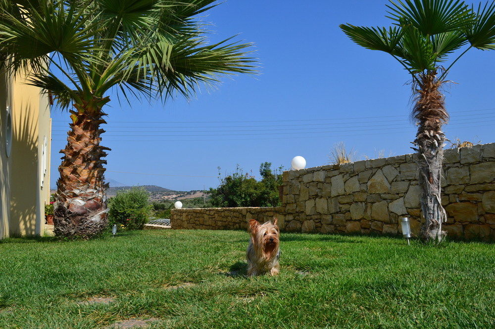 Apartment Arkadi Hills Estate