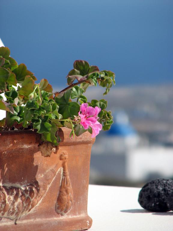 Irida - Santorini Guest house 4*