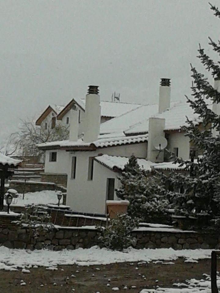 Alexander 3*