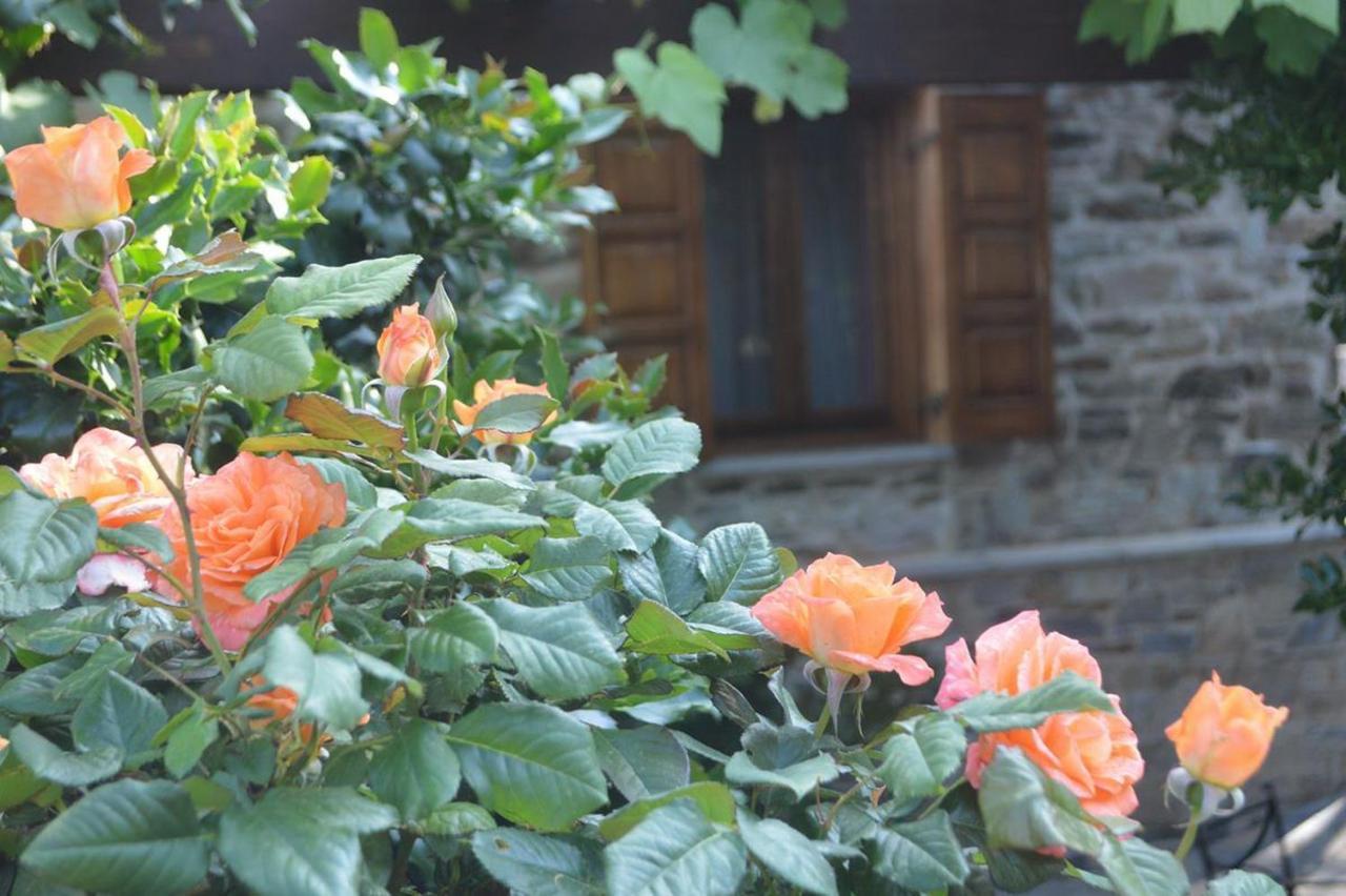 Triantafillies Guest house
