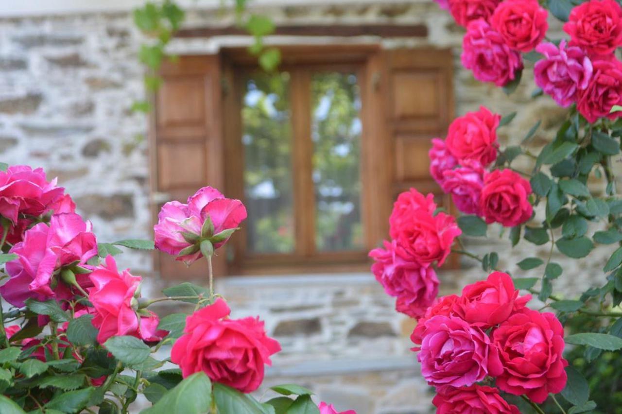 Guest house Triantafillies