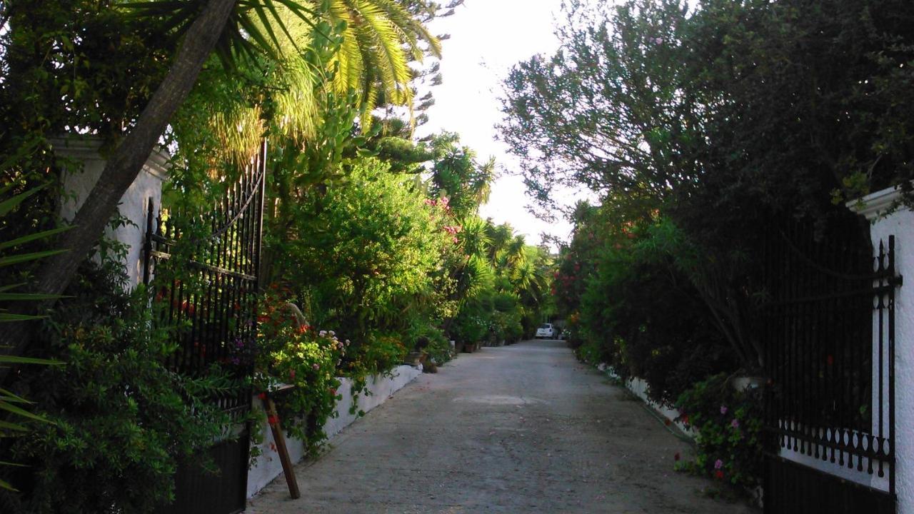 Baha-ammes Svoronata