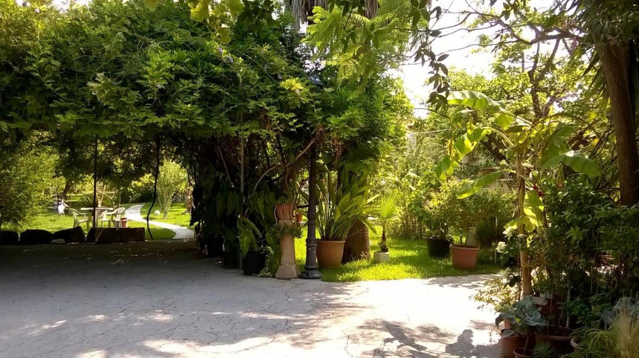 Apartment Baha-ammes *