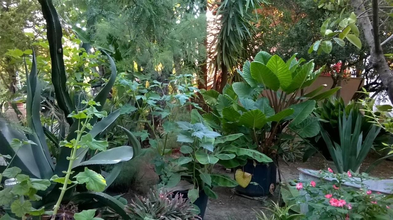 Baha-ammes Apartment