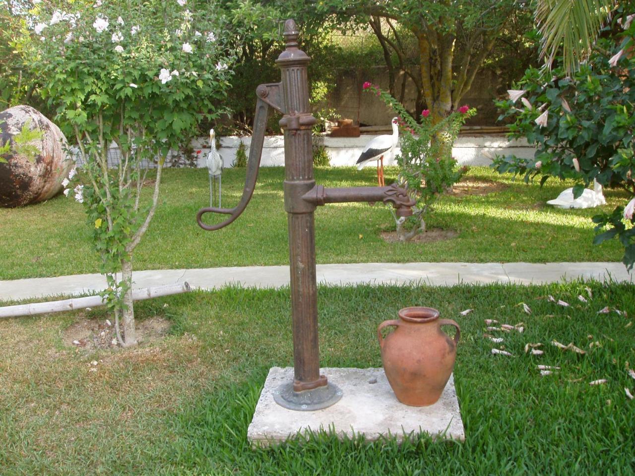 Baha-ammes * Svoronata