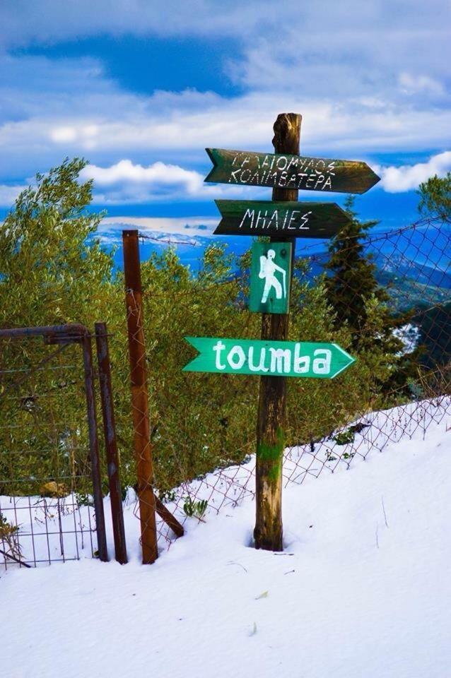 Toumba Eco Farm Guest house