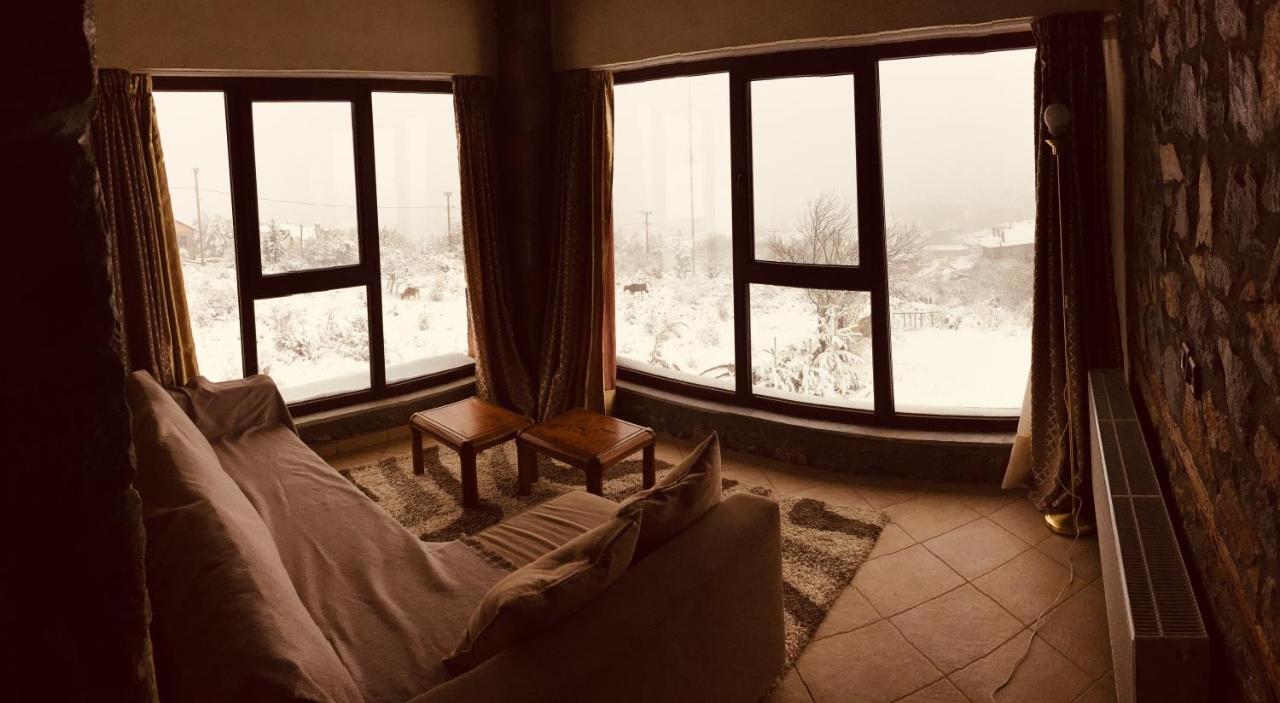 Eva Apartment Agios Athanasios (Pella)