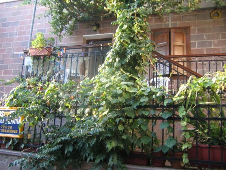 μαχη ενοικιαζόμενα Mithymna