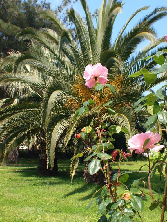 Hotel Laios (adults Only)