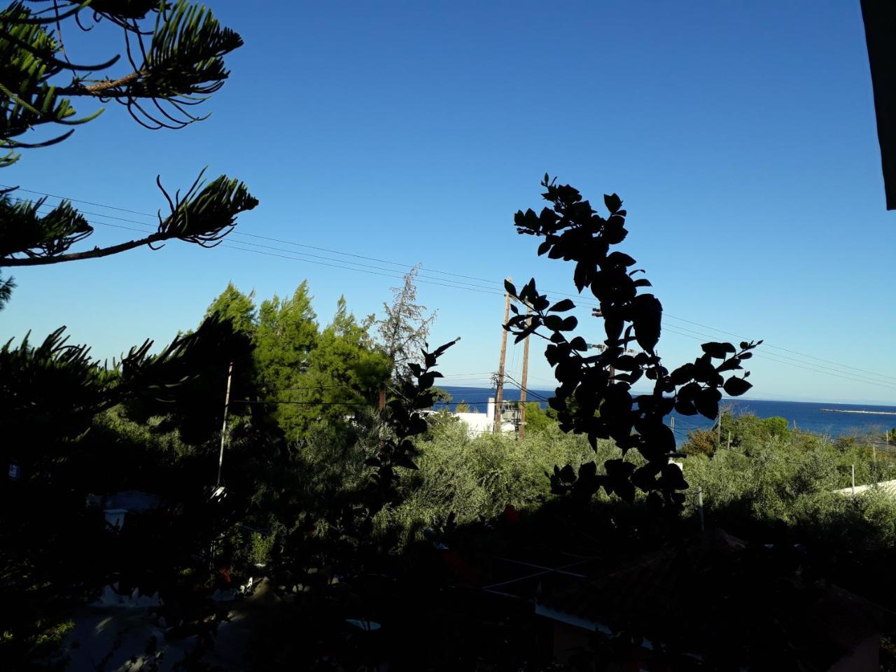Oasis Guest house